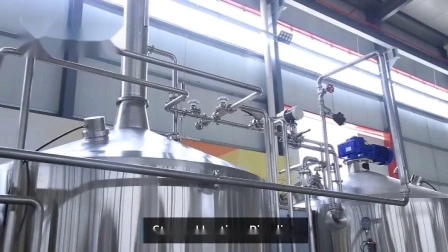 Tanque de fermentação de cerveja que refrigera Unitank cônico revestido de 500L para pub